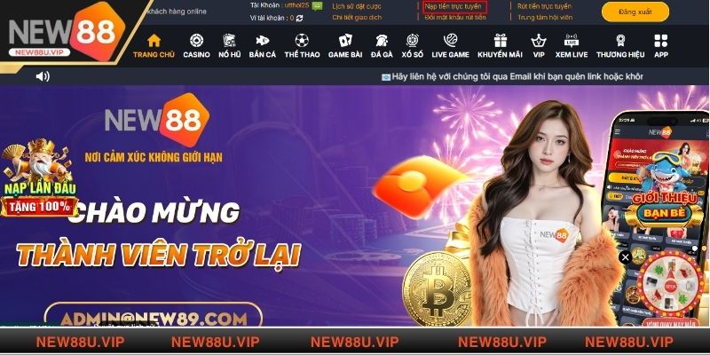 Các phương thức thêm vốn cược tại nhà cái New88 