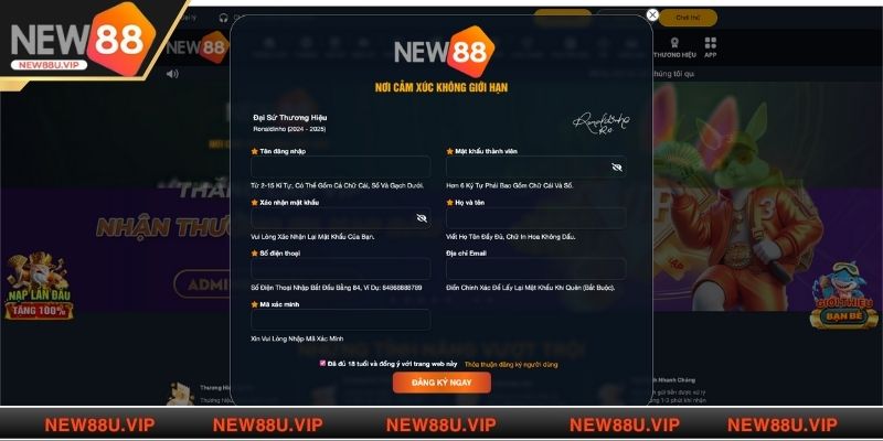 Hướng dẫn trải nghiệm Live casino NEW88 cho cược thủ mới