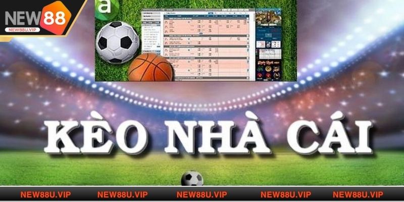 Khám phá các kèo tỷ lệ nhà cái được chơi phổ biến 
