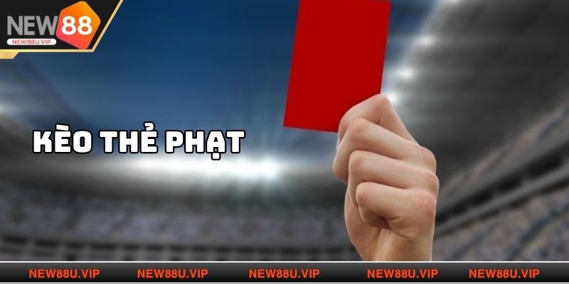 Phân tích kỹ dữ liệu và lối chơi hai đội