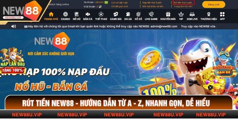 Rút Tiền New88 - Hướng Dẫn Từ A - Z, Nhanh Gọn, Dễ Hiểu