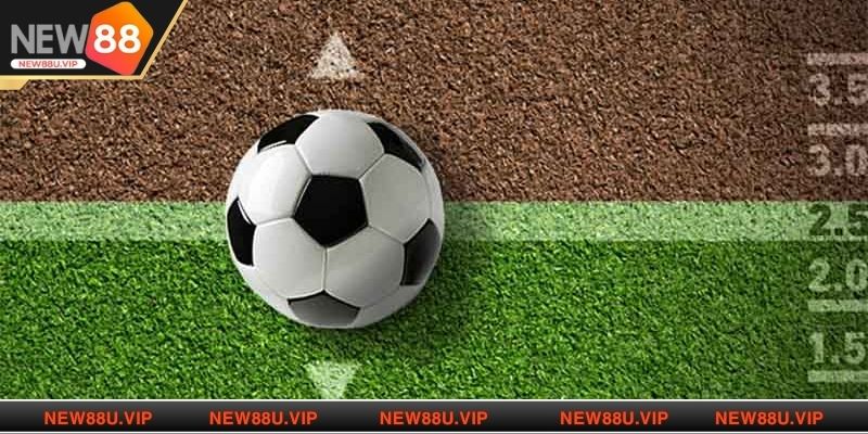 Tìm hiểu khái niệm tỷ lệ kèo Malaysia tại New88